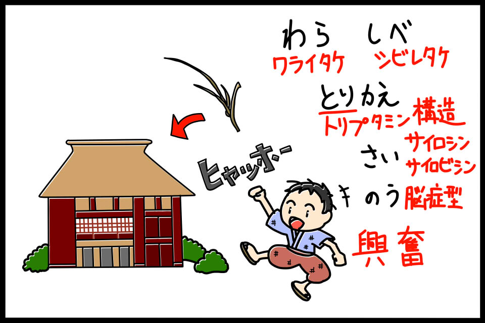 脳症型キノコ毒の特徴　ゴロイラスト